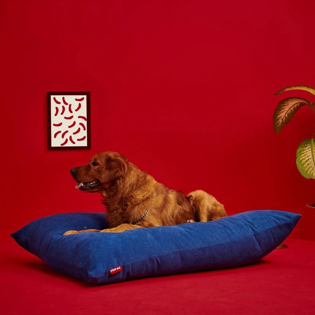 riccppe6223008620061_2 Ricrac Rito- Large Pets Cushion Navy Blue - 110x80x32 cm - الصورة 1