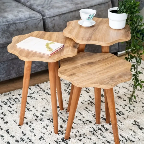 homsm144-env