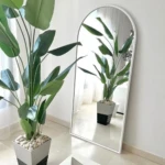 ELSAYFUMI81134-ENV